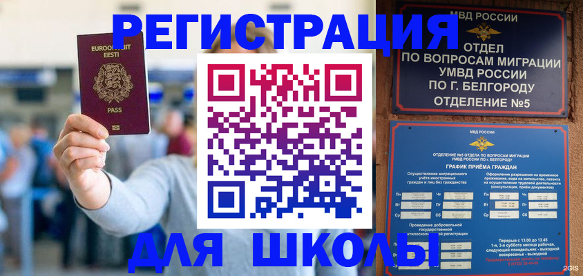 регистрация в Сальске